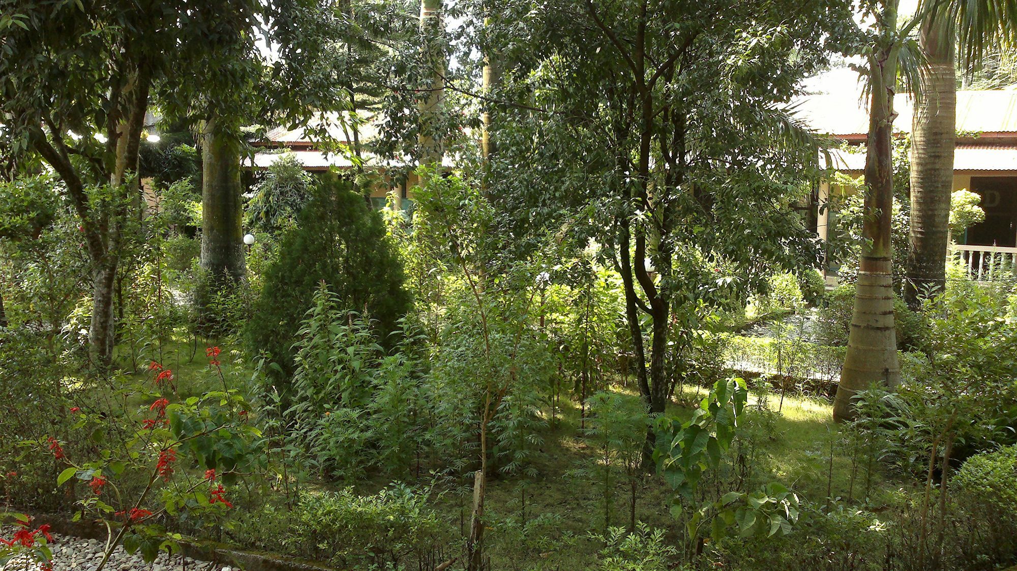 Ama Garden Sauraha Hotel Ngoại thất bức ảnh