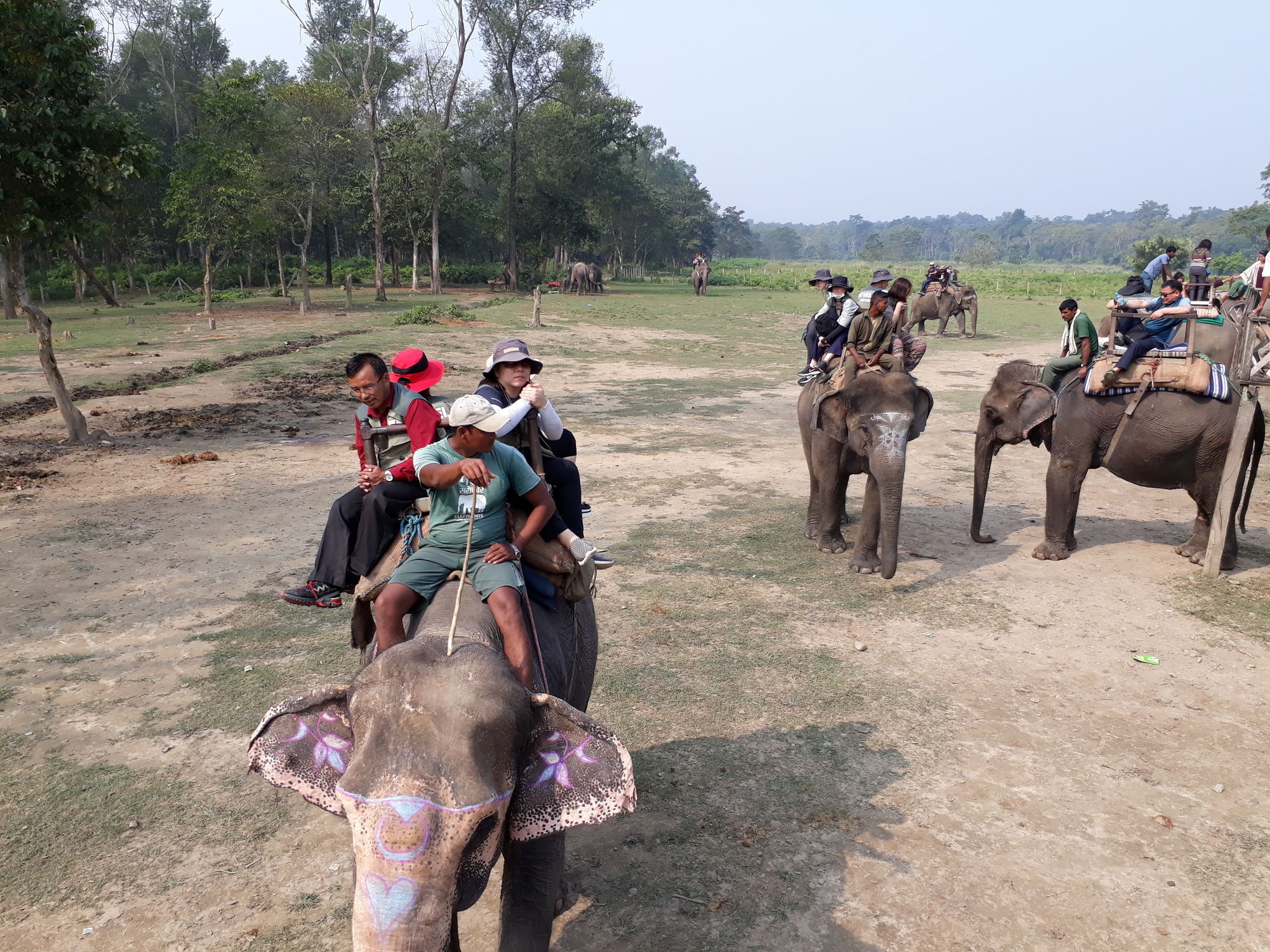 Ama Garden Sauraha Hotel Ngoại thất bức ảnh