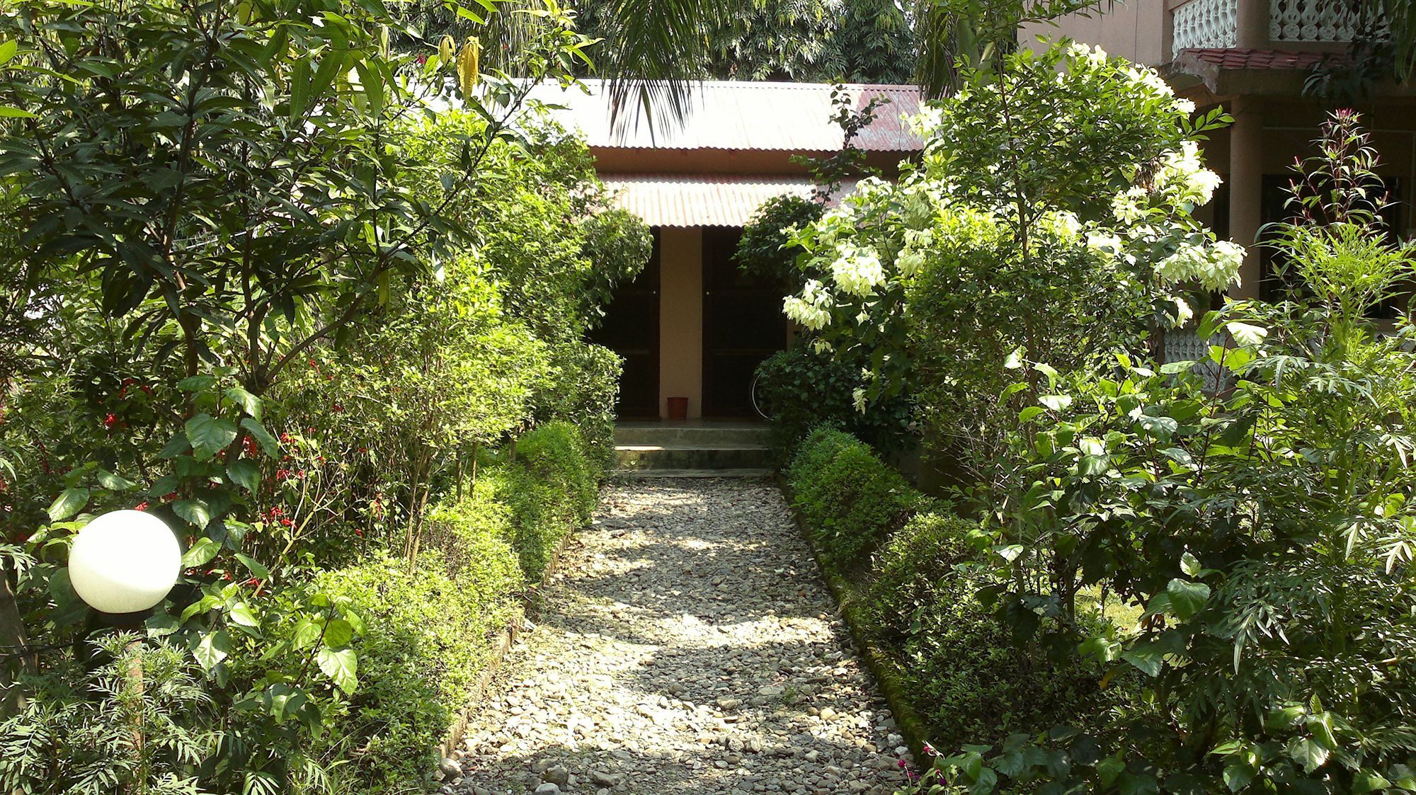 Ama Garden Sauraha Hotel Ngoại thất bức ảnh