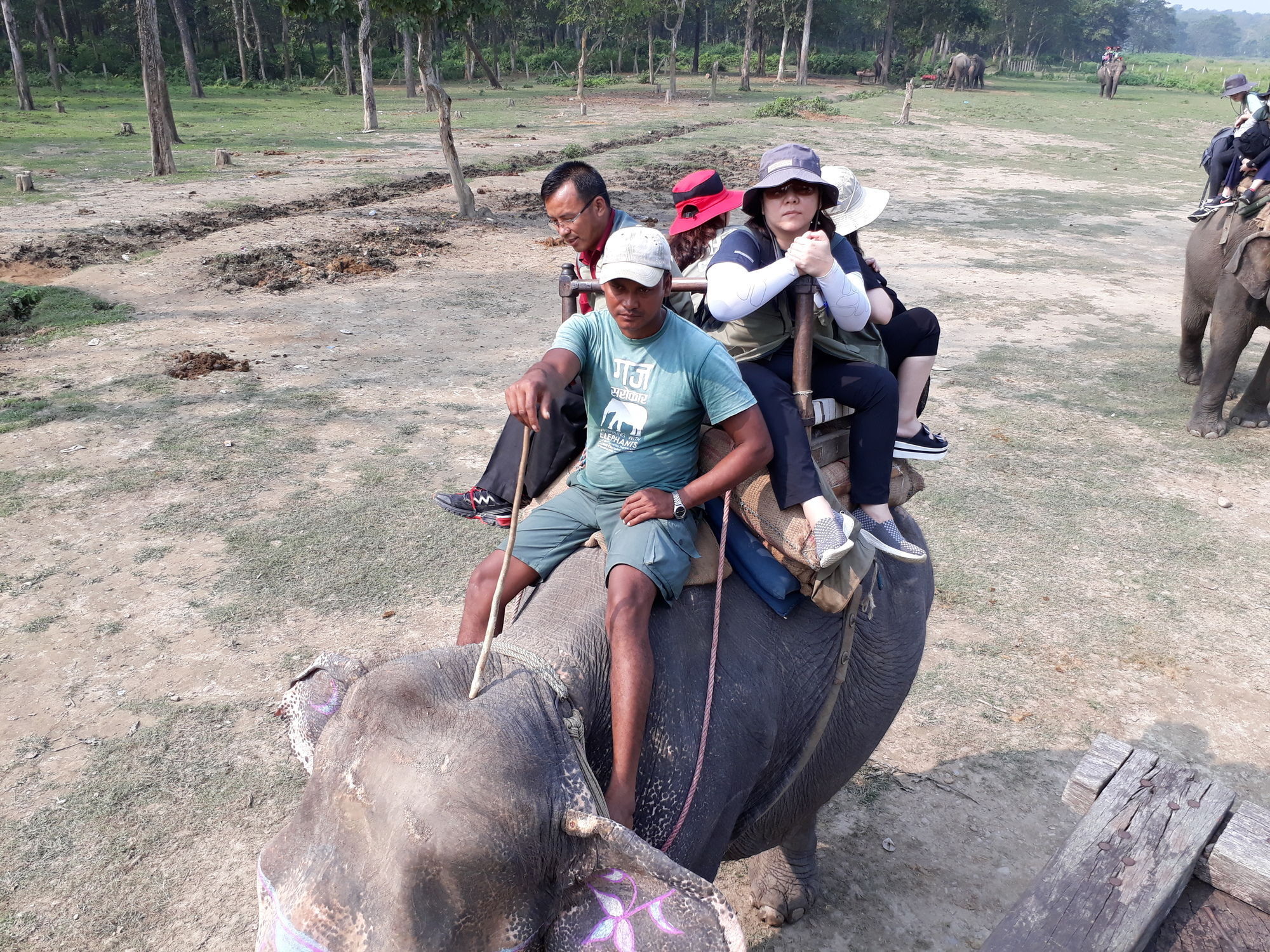 Ama Garden Sauraha Hotel Ngoại thất bức ảnh