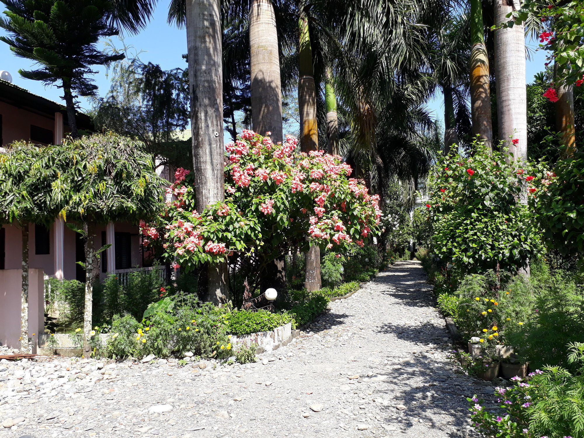Ama Garden Sauraha Hotel Ngoại thất bức ảnh