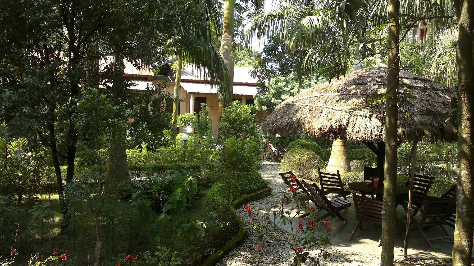 Ama Garden Sauraha Hotel Ngoại thất bức ảnh