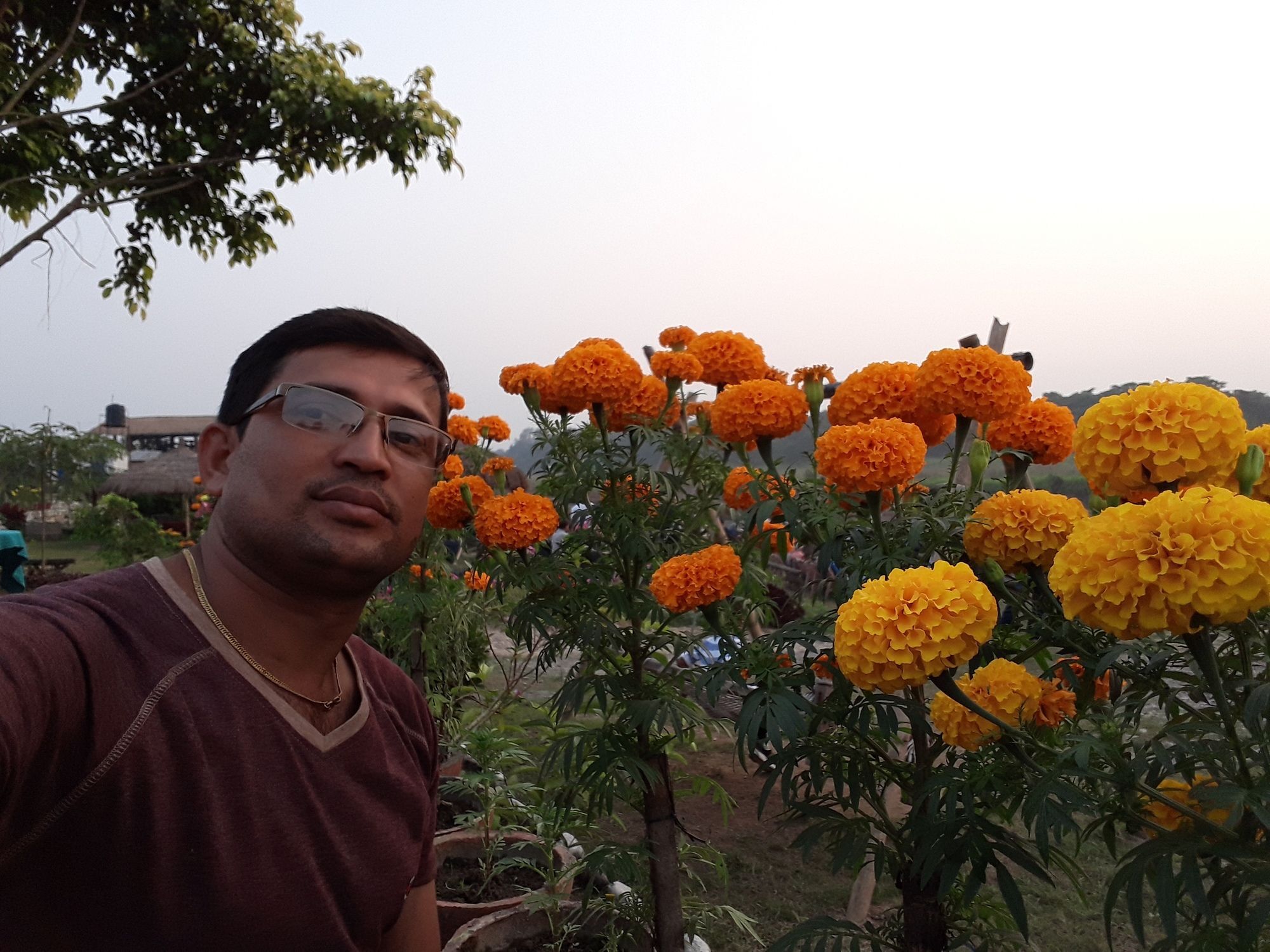 Ama Garden Sauraha Hotel Ngoại thất bức ảnh