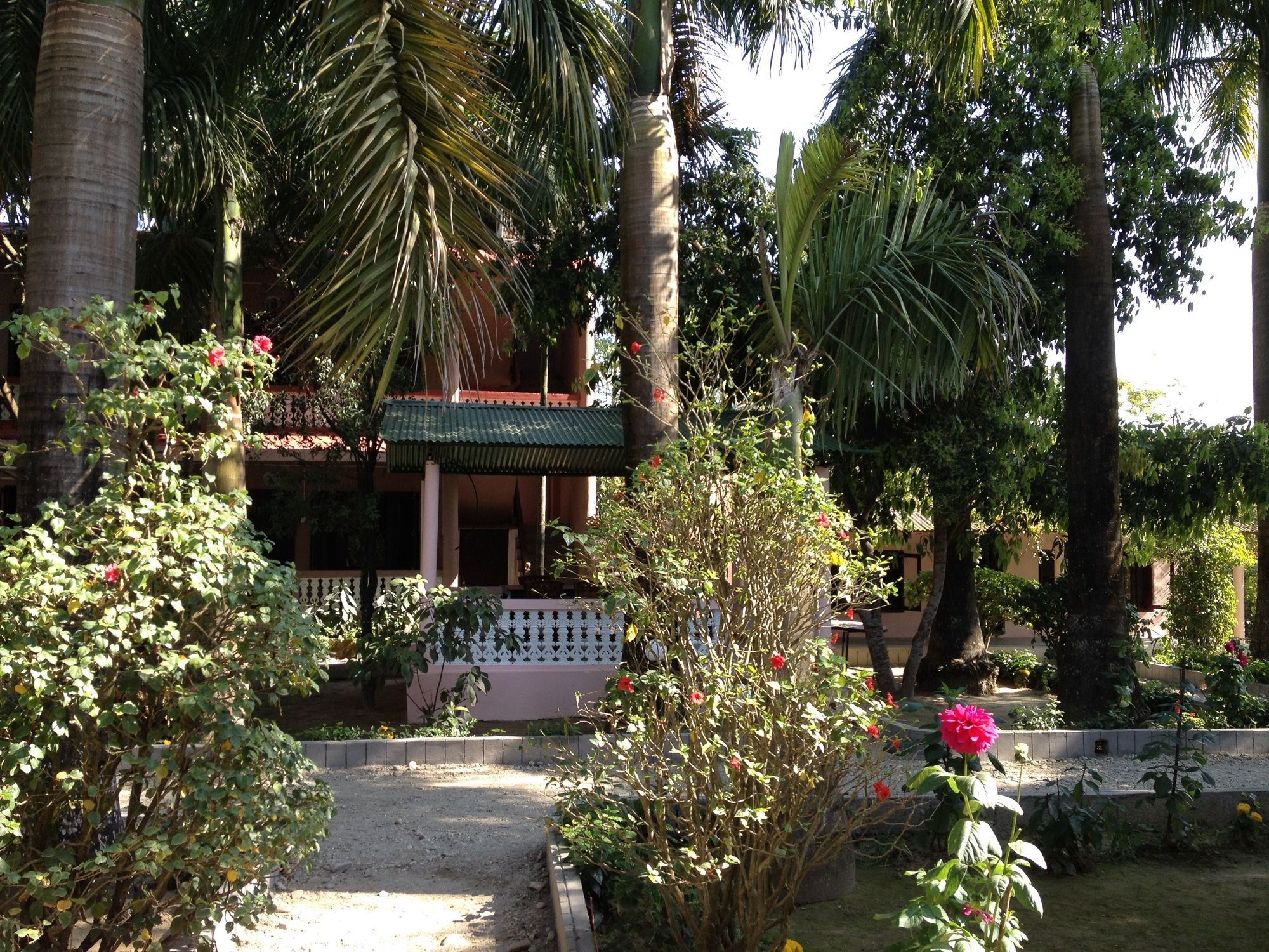 Ama Garden Sauraha Hotel Ngoại thất bức ảnh