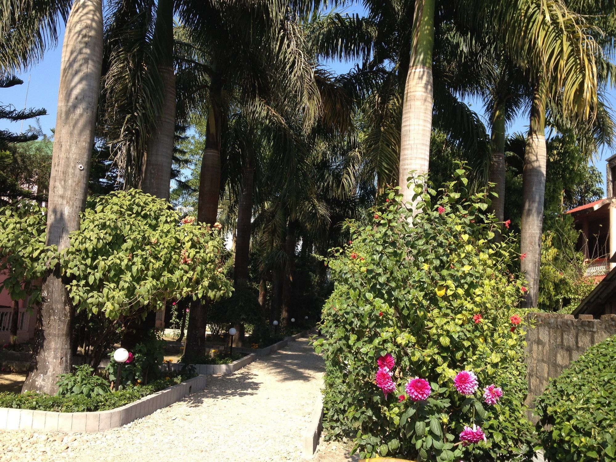 Ama Garden Sauraha Hotel Ngoại thất bức ảnh
