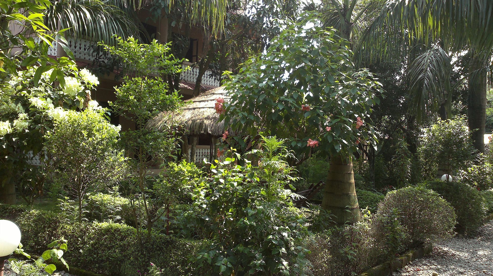 Ama Garden Sauraha Hotel Ngoại thất bức ảnh