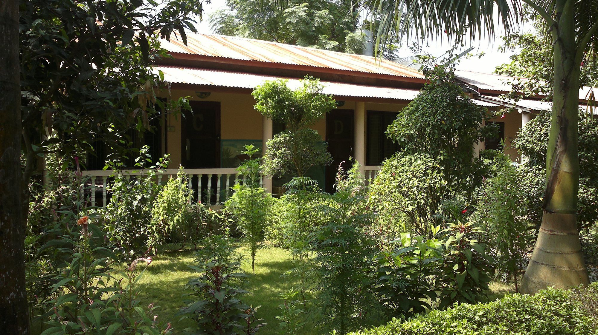 Ama Garden Sauraha Hotel Ngoại thất bức ảnh