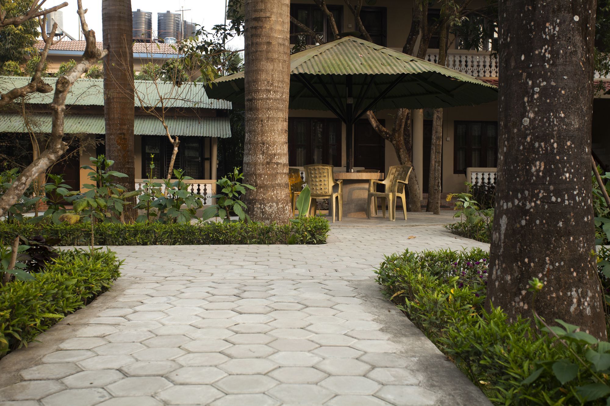 Ama Garden Sauraha Hotel Ngoại thất bức ảnh