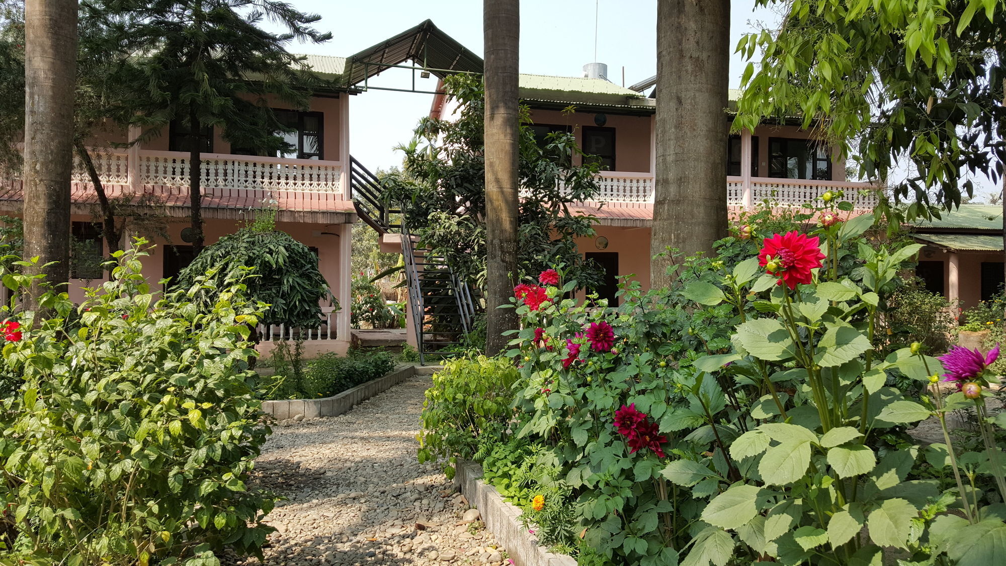Ama Garden Sauraha Hotel Ngoại thất bức ảnh
